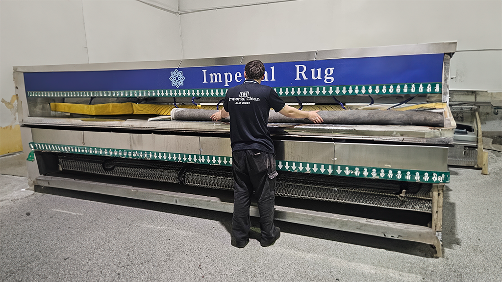 Professional Area Rug Cleaning