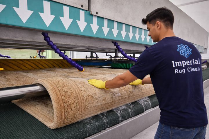 Everything You Need to Know About Professional Rug Washing