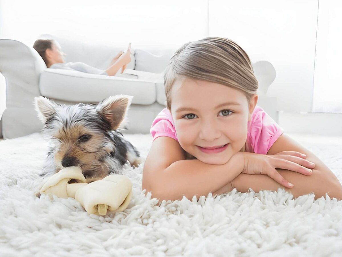 Why Eco-Friendly Rug Cleaning Is Safer for Children and Pets