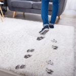 How Heavy Foot Traffic Changes Rug Cleanliness Over Time