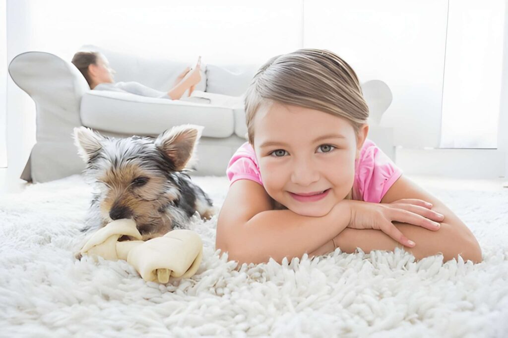 Why Eco-Friendly Rug Cleaning Are Safer for Children and Pets