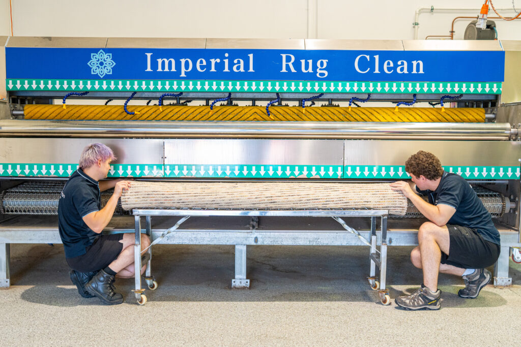 Rug Cleaning Myths Every Rug Owner Should Know