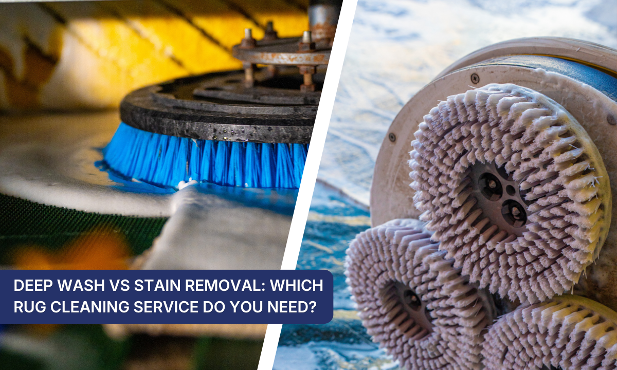 Deep Wash vs Stain Removal Which Rug Cleaning Service Do You Need